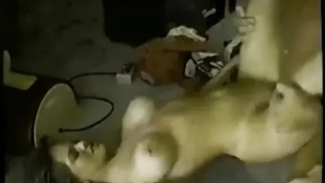 Blondyn filmy erotyczne retube